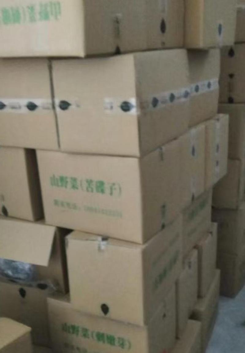 纯大山新鲜刺嫩芽，没水洗
