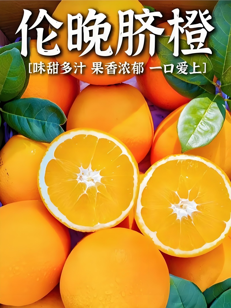 伦晚脐橙也叫帝王橙皮薄肉厚口感脆甜个头大货源充足全国代收