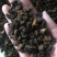 桦树茸，黄金颗粒，黑金颗粒，桦树粉，黑油颗粒原产地发货