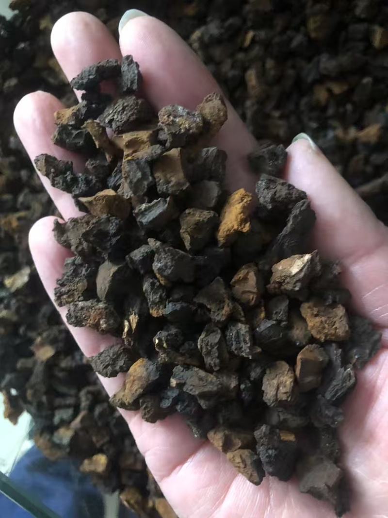 桦树茸，黄金颗粒，黑金颗粒，桦树粉，黑油颗粒原产地发货