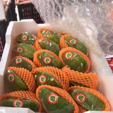 青果杨桃