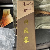 礼盒肉苁蓉