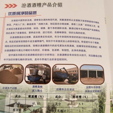汾酒集团白酒糟