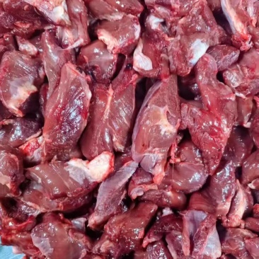 大块羊碎肉，烧烤穿串