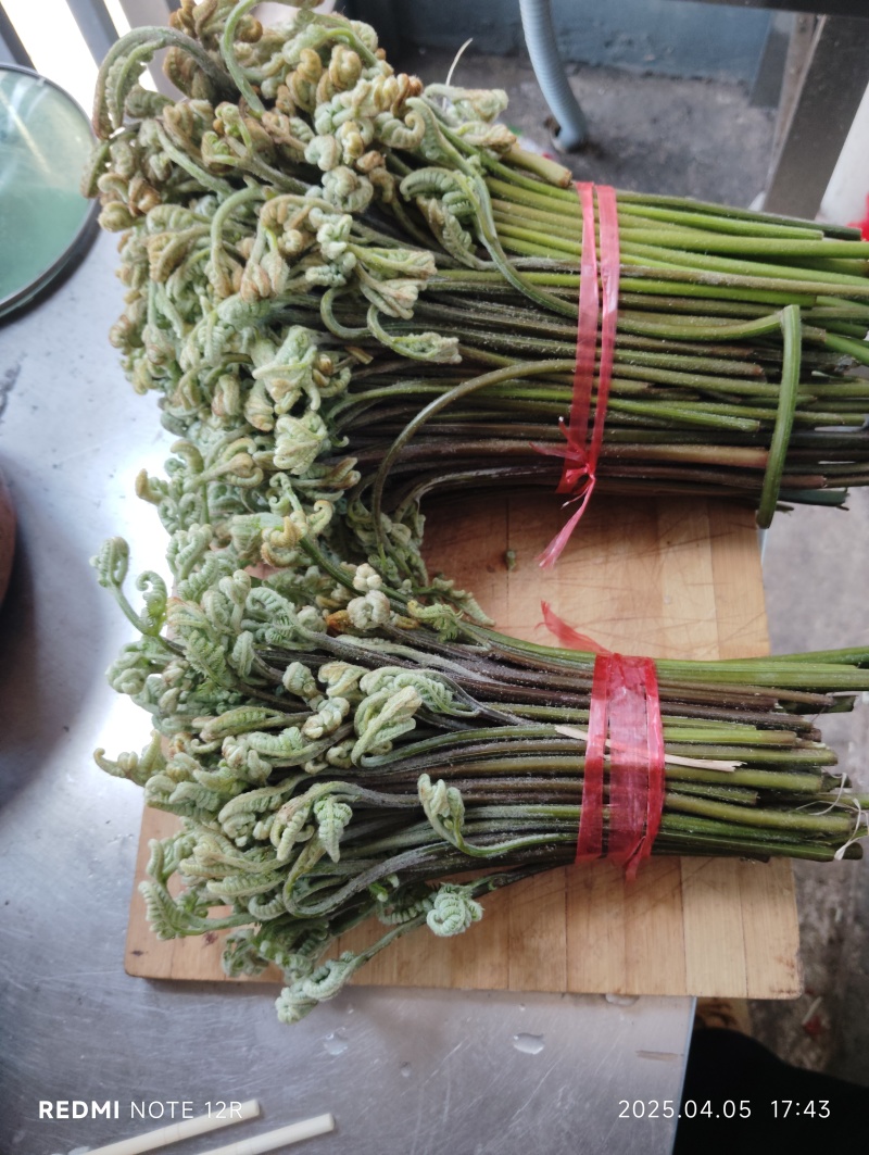 蕨菜。
