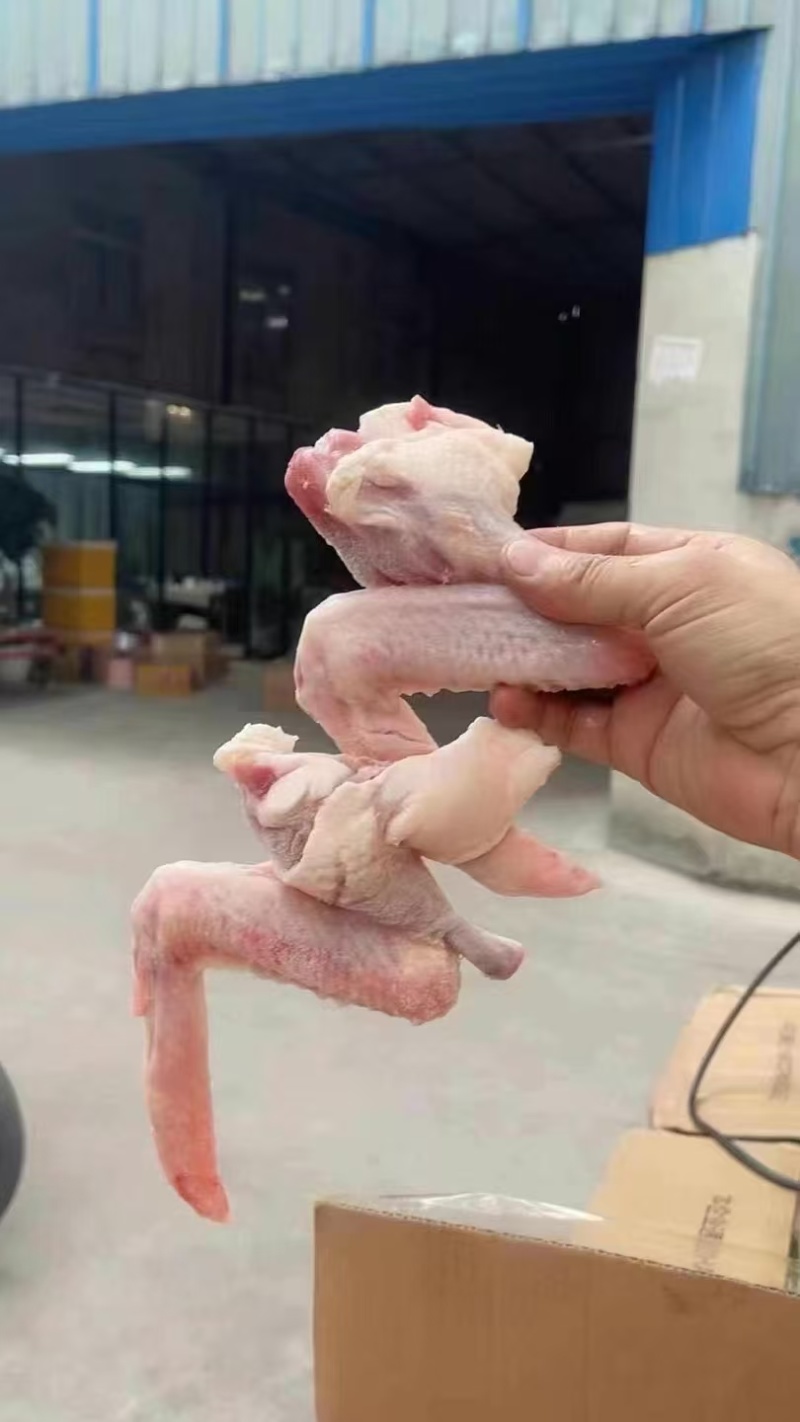 鸭三节三节翅无碱鸭翅大号鸭翅鲜鸭翅