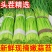 平邑精品红帽蒜薹田间地头现摘现发货源充足稳定质量优良