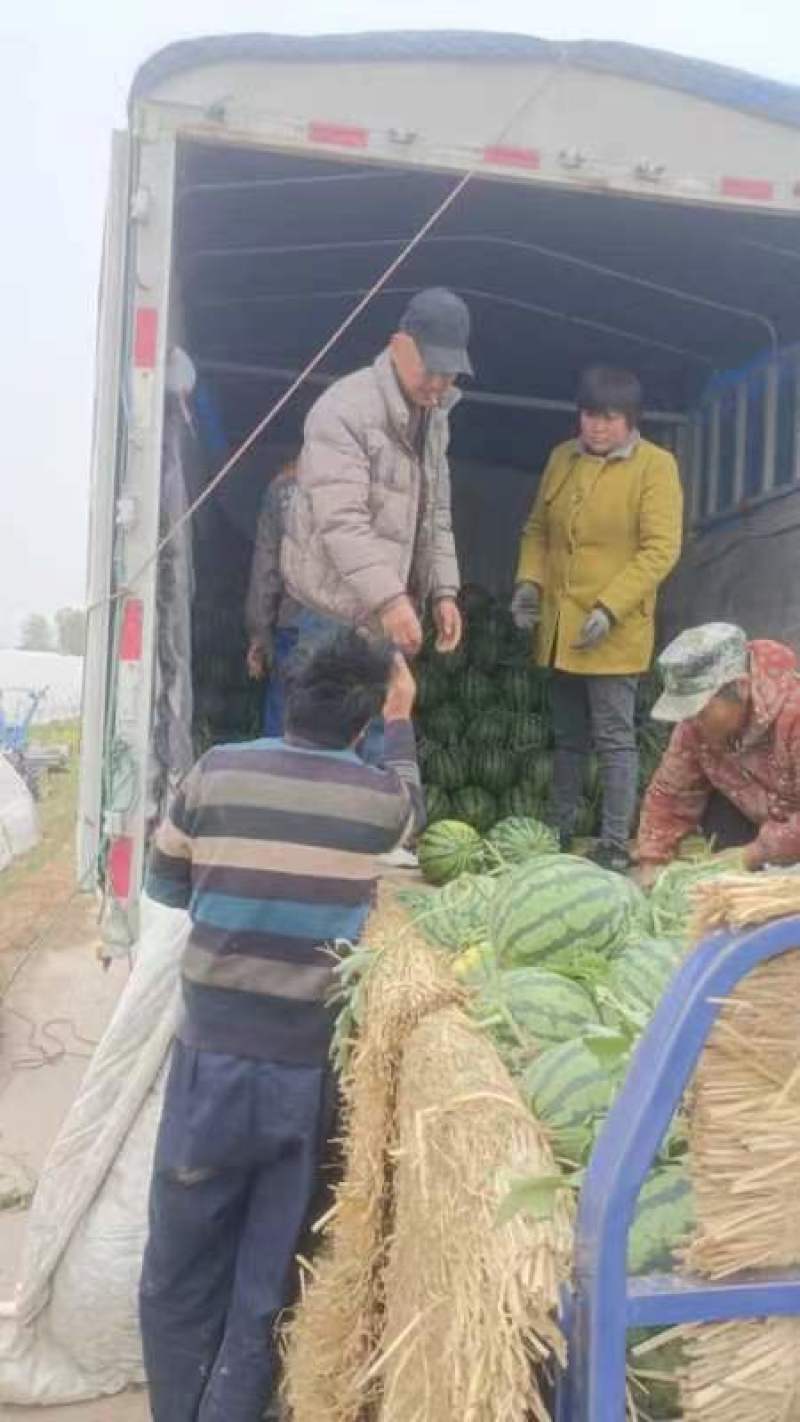 711美都，欢迎客商前来采购！支持视频看货可发往全国市场