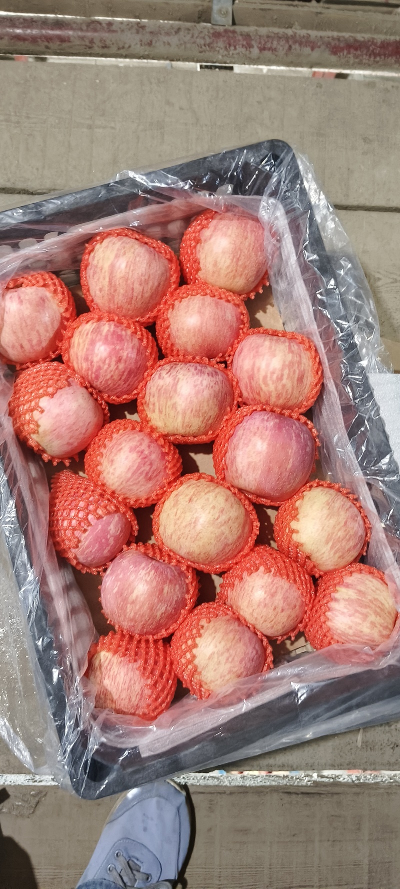 山东沂源大量供应纸袋富士！