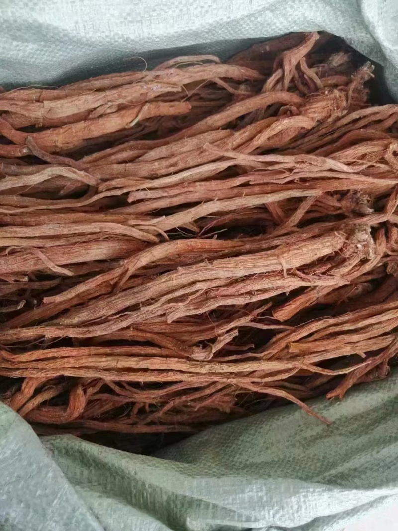 续断一年生原统货带芦头
