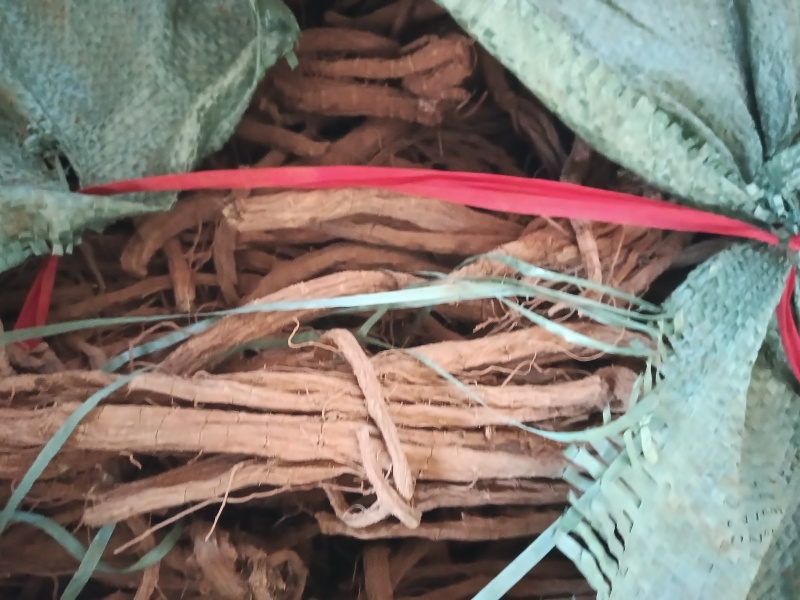续断一年生原统货带芦头