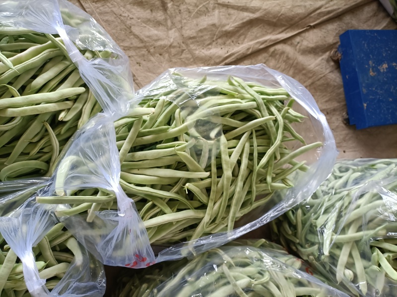 白豆角大量上市货源充足全国各地发货一手货源，有需求老板联