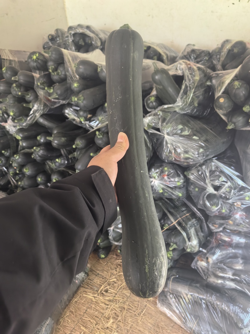 南瓜黑皮南瓜吊南瓜长南瓜产地直销一手货源南瓜