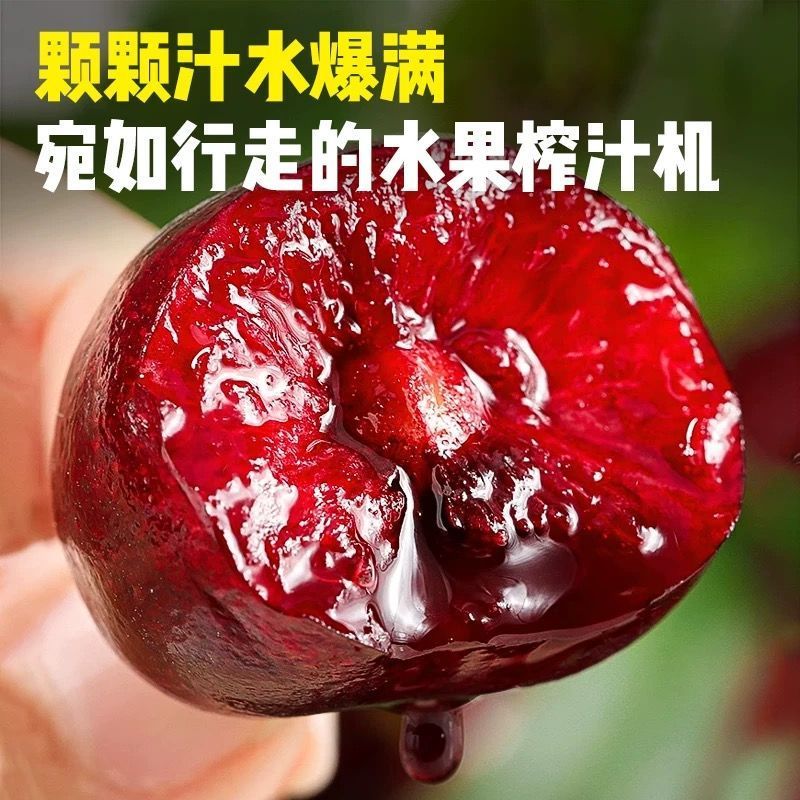 美早红灯大樱桃对接各大电商抖音快手视频号淘宝多多一件代发