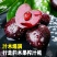 美早红灯大樱桃对接各大电商抖音快手视频号淘宝多多一件代发