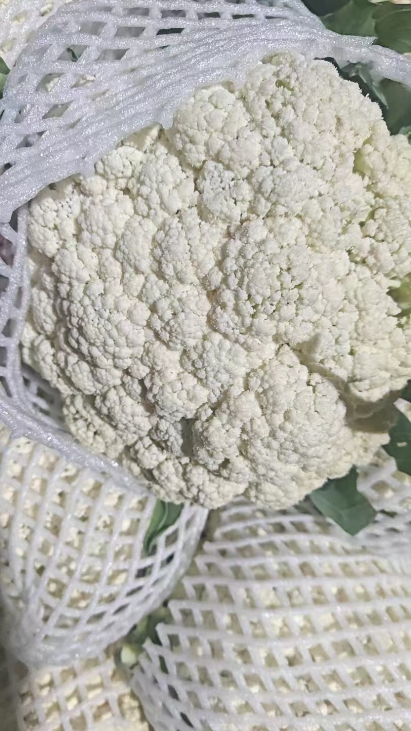 精品有机花菜
