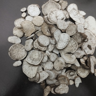 野生粉防己，防己，汉防己保质保量供货价钱实惠