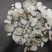 野生粉防己，防己，汉防己保质保量供货价钱实惠
