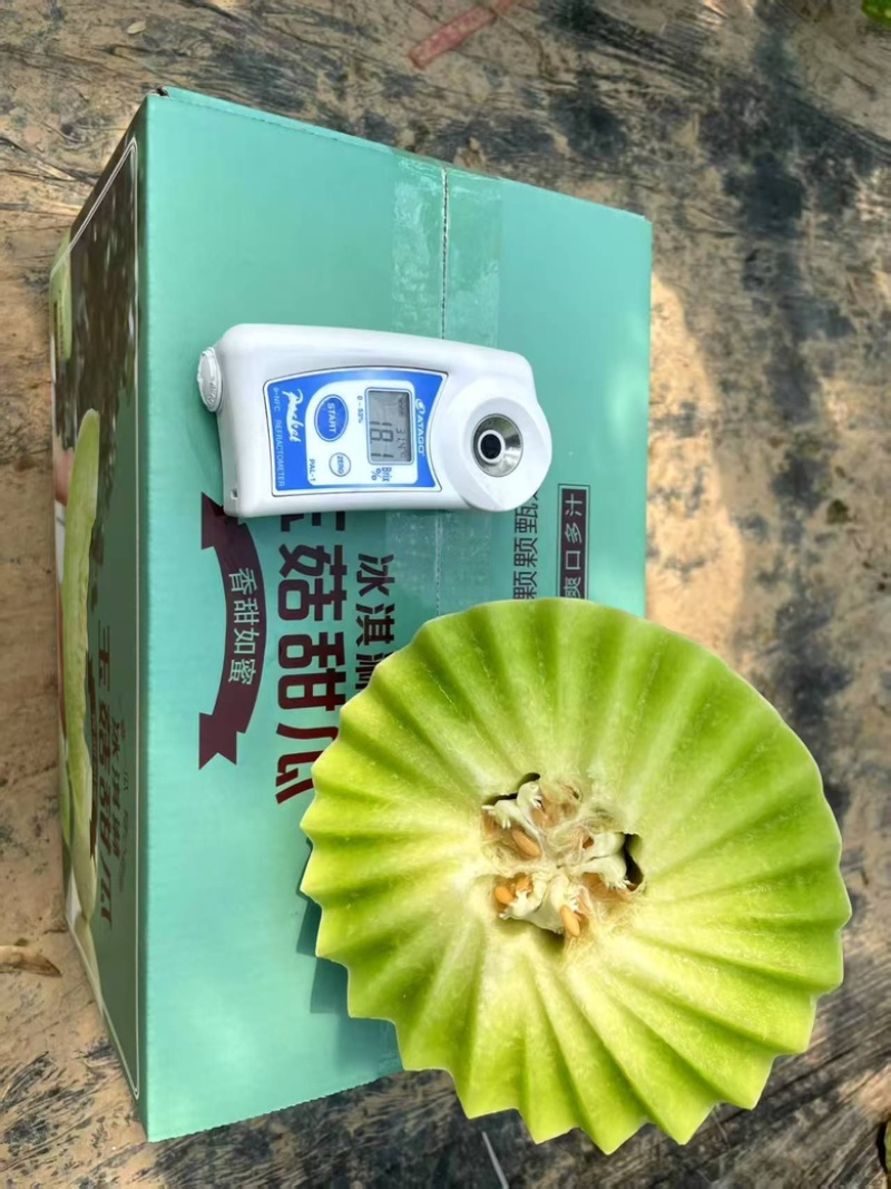 玉菇甜瓜冰激凌甜瓜，网红直播，社区团购多多买菜，一件代发