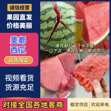 美都西瓜无籽,一手货源711西瓜保熟保甜,产地发货