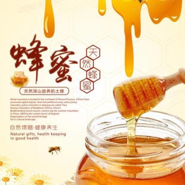 野生鸭脚木冬蜜，产地直发，保质保量，量大价优