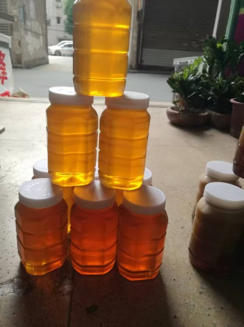 深圳冬蜂蜜蜂密代收代卖一件代发对接采购各大平台