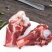 国产加肉羊棒骨大量供应，货源充足，量大从优，根根带肉