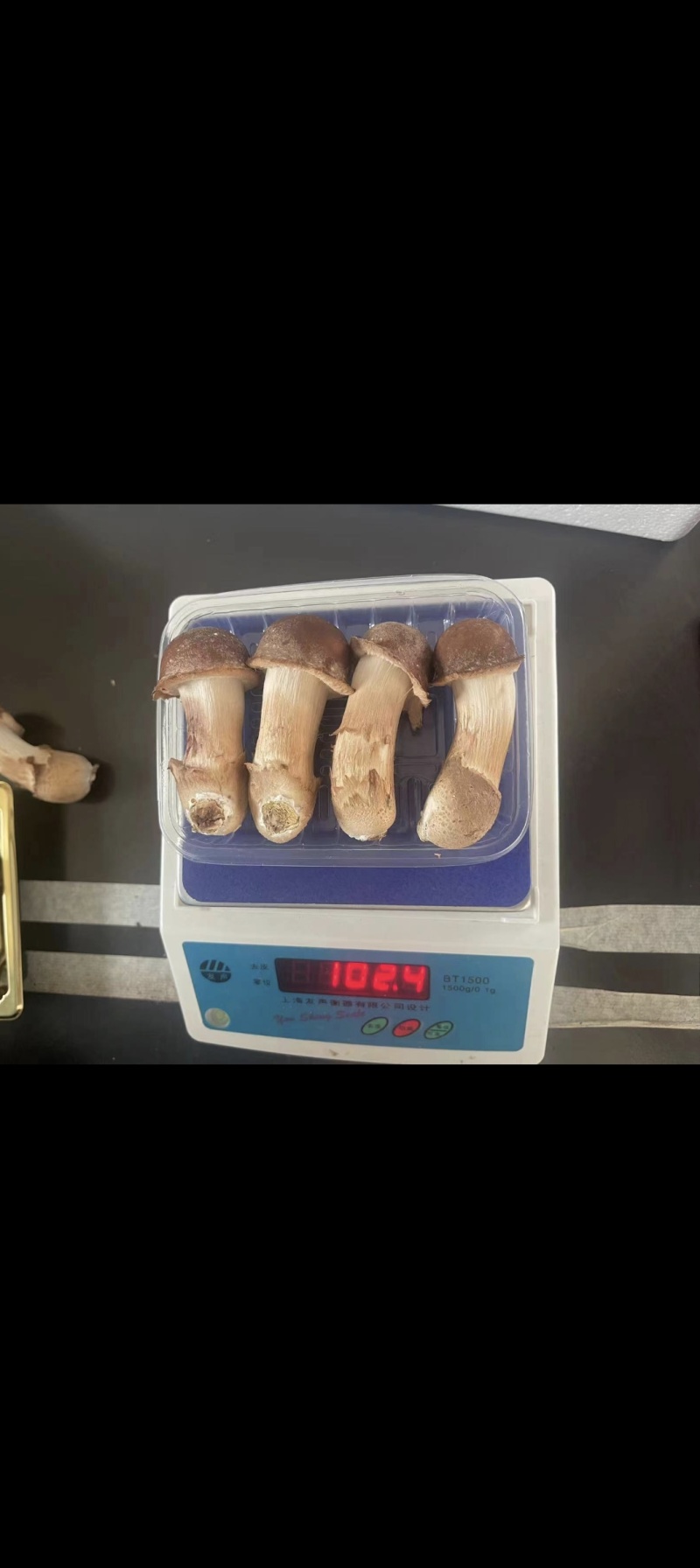 松茸生态松茸新鲜冷冻