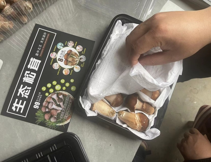 松茸生态松茸新鲜冷冻