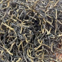 虫草：清水不加重没有科技和狠活纯西藏野生虫草。原产地发货