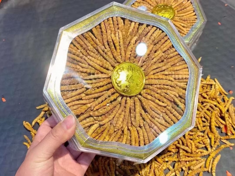 虫草：清水不加重没有科技和狠活纯西藏野生虫草。原产地发货