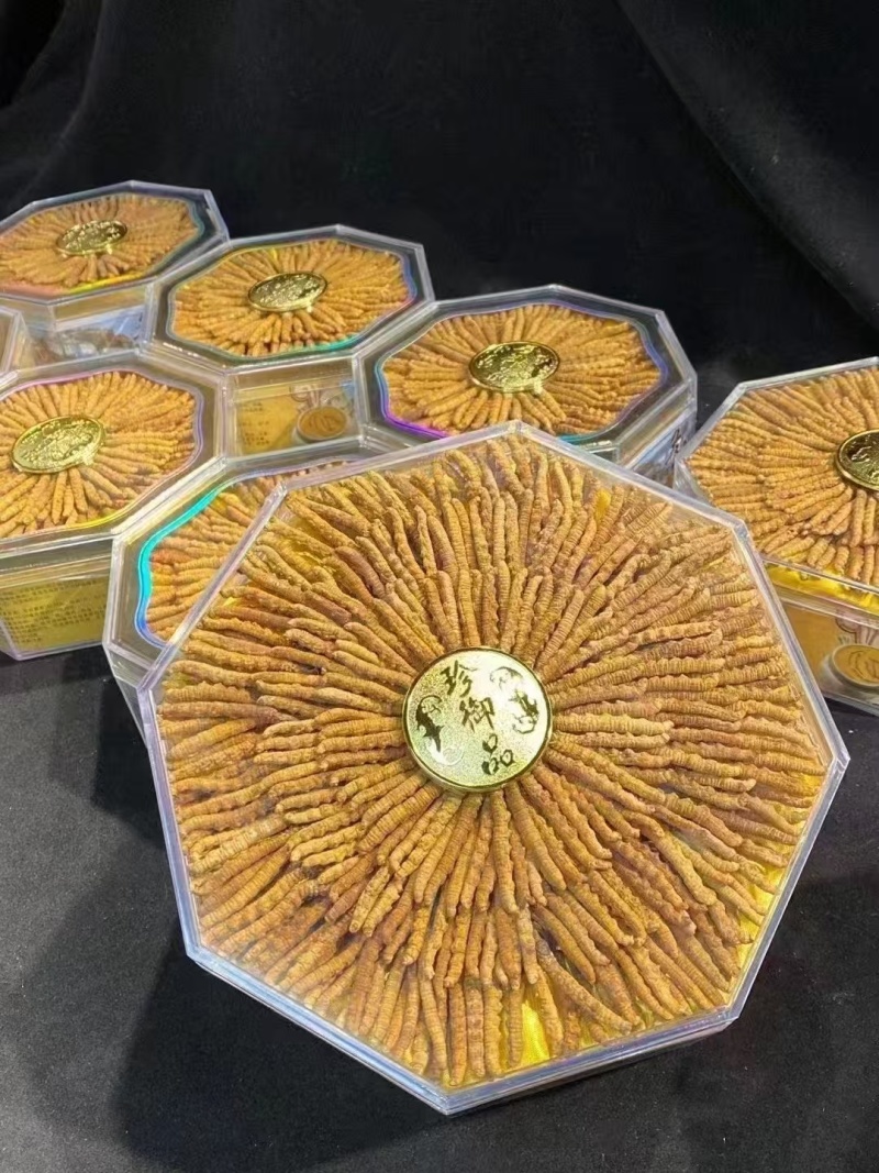 虫草：清水不加重没有科技和狠活纯西藏野生虫草。原产地发货