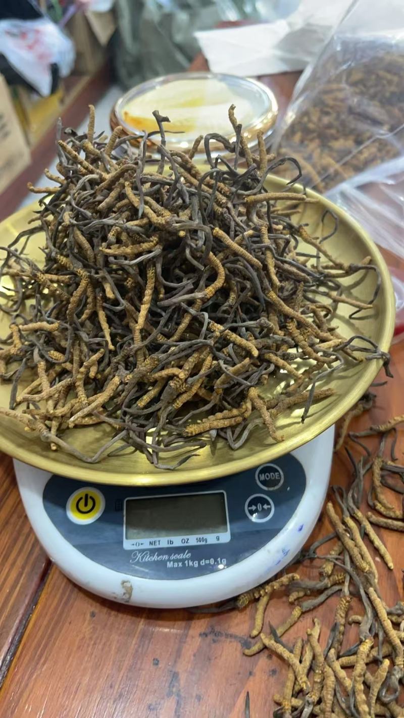 虫草：清水不加重没有科技和狠活纯西藏野生虫草。原产地发货
