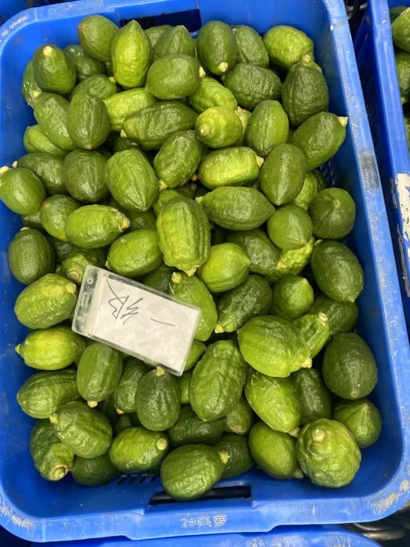 广东香水柠檬