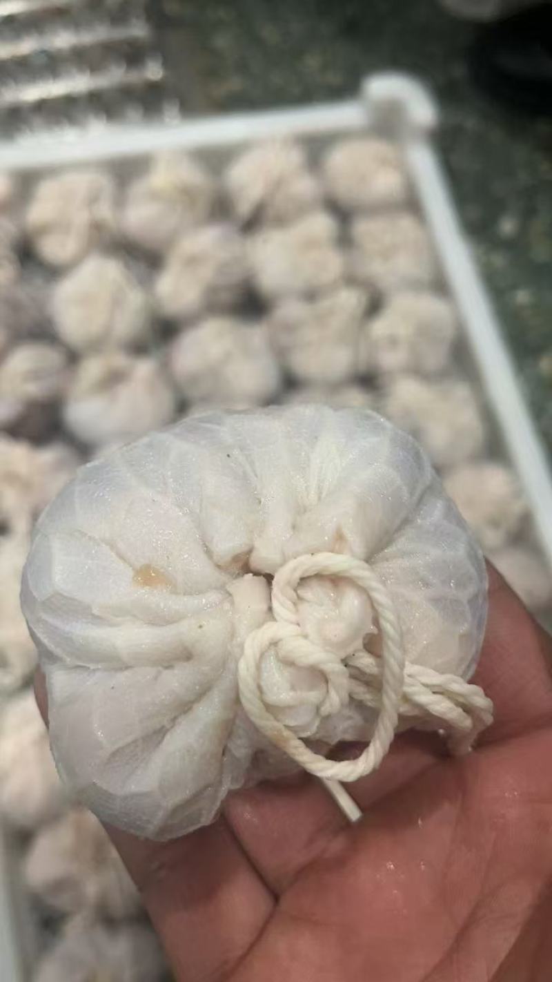精品羊肚包肉大量供应，新鲜发货，河北厂家直发，量大从优。