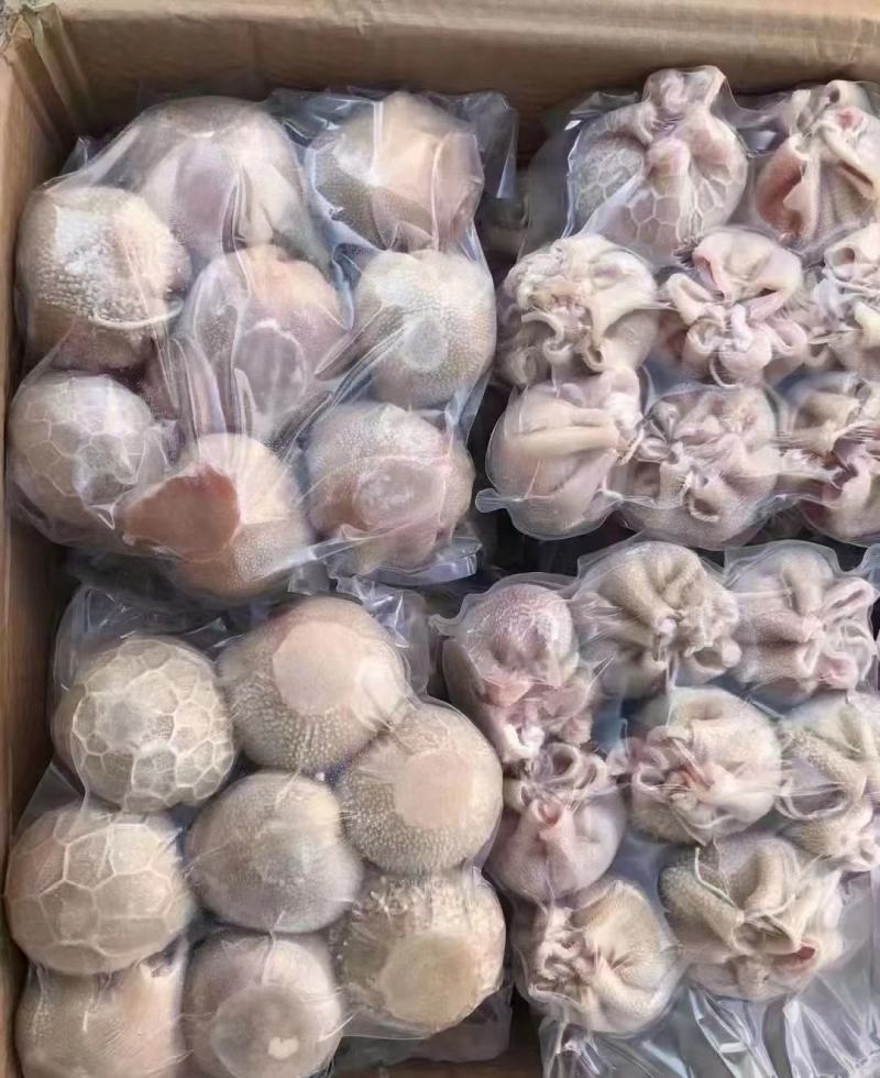精品羊肚包肉大量供应，新鲜发货，河北厂家直发，量大从优。