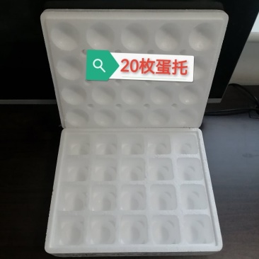 20枚蛋托