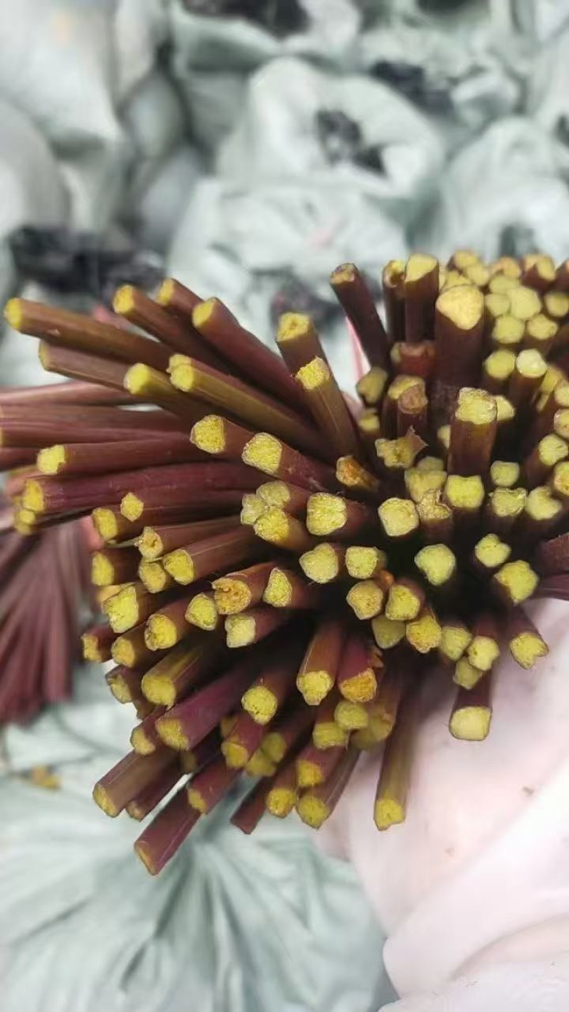 腌制蕨菜