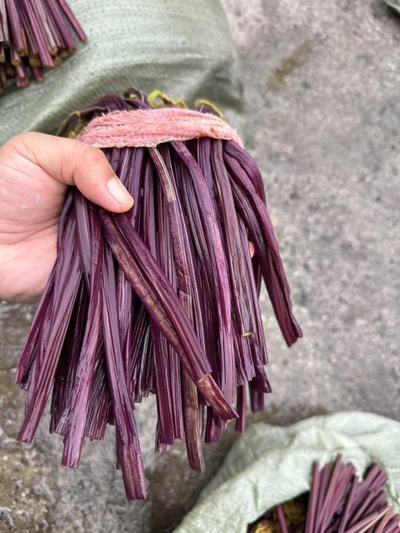 腌制蕨菜