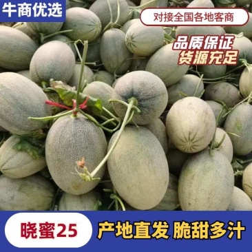 【平台力推】民勤哈密瓜晓蜜25号甄选哈密瓜价格可协商