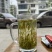 群体种龙井茶明后茶