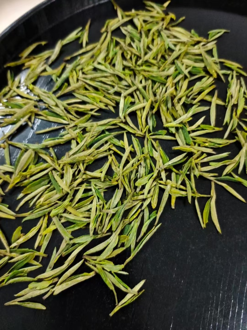 2025年新茶-霍山黄芽茶