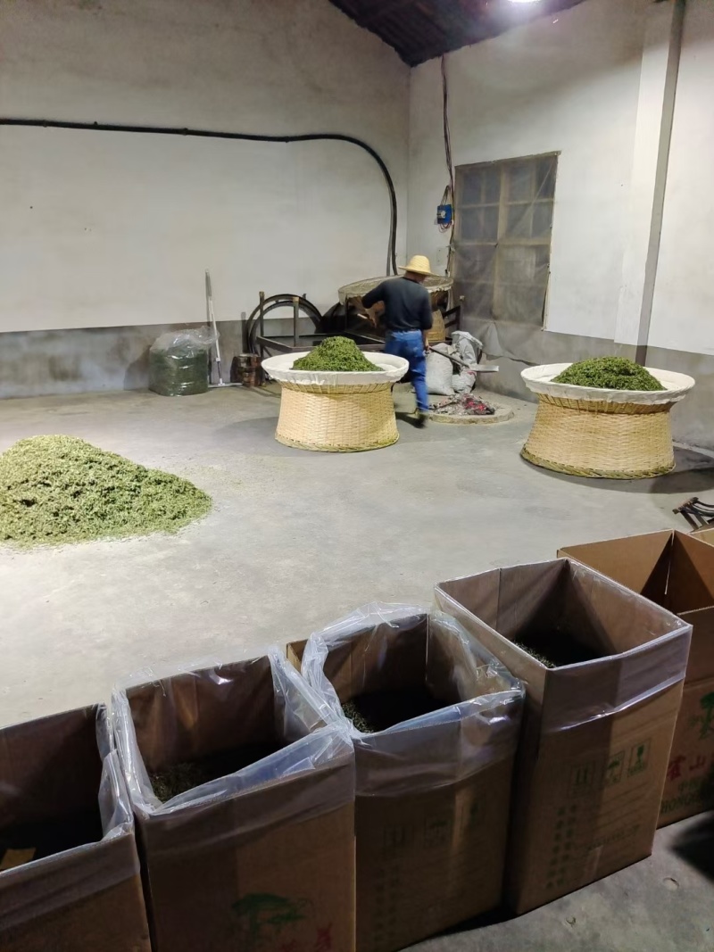 2025年新茶-霍山黄芽茶