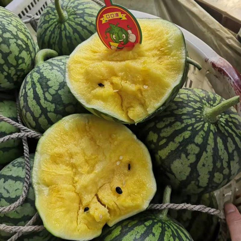 【实力代办】江苏特小凤/新品上市/全国发货/对接商超市场