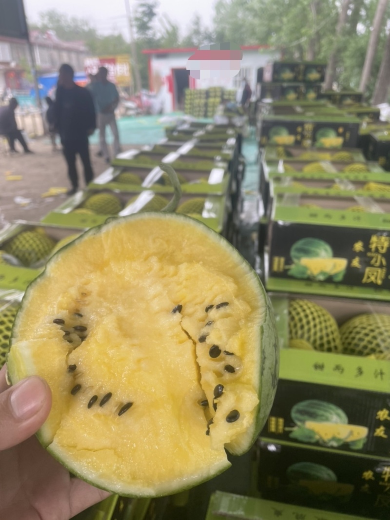 【实力推荐】特小凤西瓜/精品西瓜/对接电商商超批发市场/