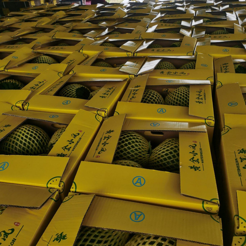 【实力推荐】特小凤西瓜/精品西瓜/对接电商商超批发市场/