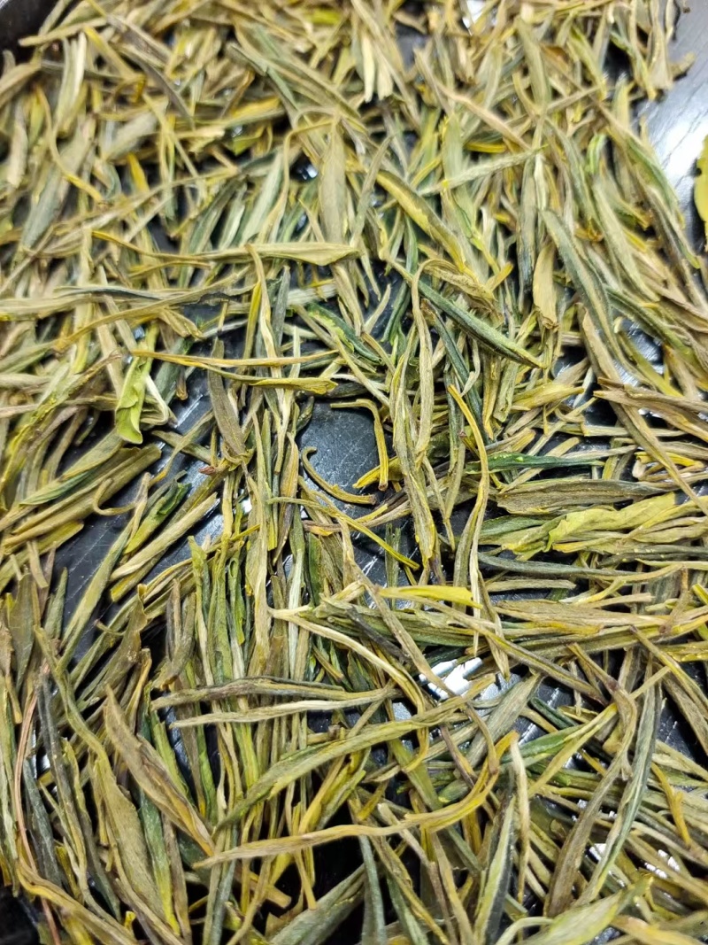 手工黄芽茶