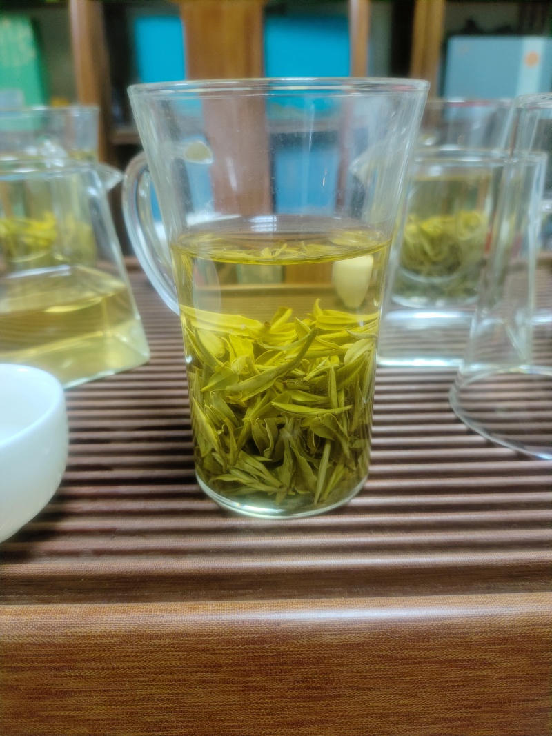 手工黄芽茶