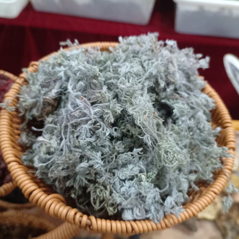 茵陈蒿白蒿苗干货身干无杂精选货