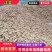 优质洋姜种大量有货产地直发可视频看货欢迎老板咨询